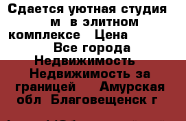 Сдается уютная студия 33 м2 в элитном комплексе › Цена ­ 4 500 - Все города Недвижимость » Недвижимость за границей   . Амурская обл.,Благовещенск г.